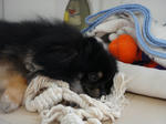 DSC01848.jpg
