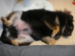 DSC00990.jpg