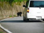 クマー