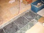 PICT0004.JPG