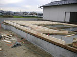 Y-N1.JPG