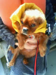 200903161054000.jpg