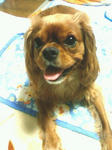 200906302214000.jpg