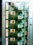 201001261730000.jpg