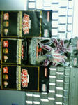 201001300015000.jpg