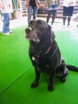 201002031249002.jpg