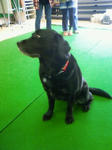 201002031249003.jpg