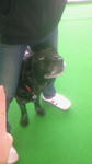 201002031254000.jpg