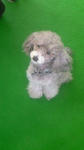 201002031257000.jpg