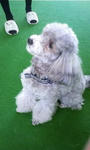 image004.jpg