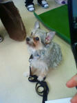 201002031257003.jpg