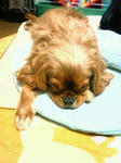 201002042209000.jpg