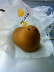 201002151923000.jpg