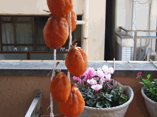 kaki2.gif