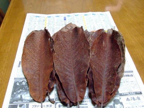 houba2.JPG