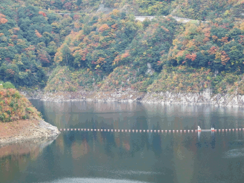 damuko1.gif