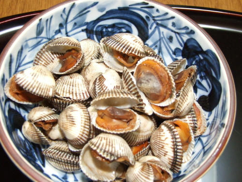 akagai.JPG