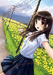 040030228983-1.gif