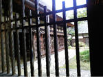 d980853c.jpg