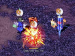 dop3.JPG