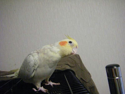 3703baa3jpeg