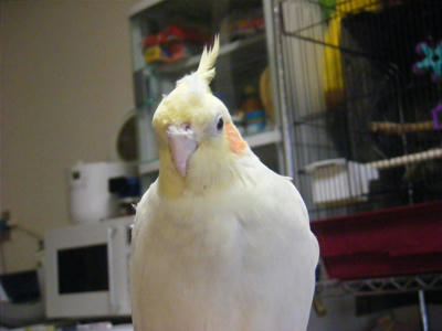 b38e472cjpeg