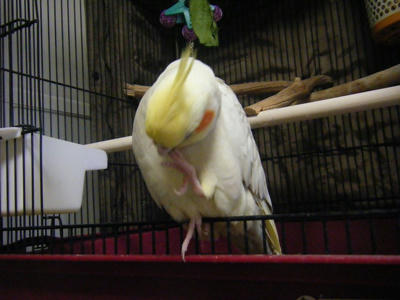 378701a7jpeg