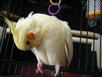 105_400.jpg