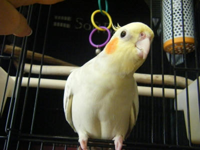 107_400.jpg