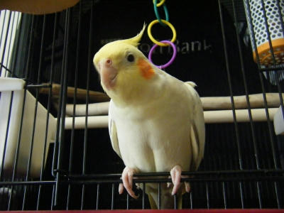 108_400.jpg