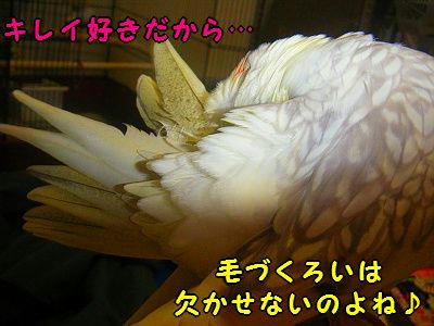 002_40002.jpg
