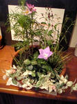 秋の寄せ植え