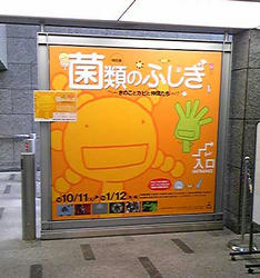 看板