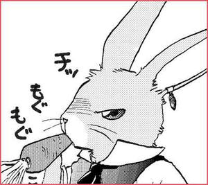 エリクうさぎ