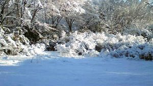 雪景色