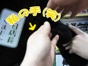 くまモンの手に触る