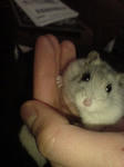 DSC00993.JPG