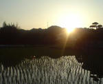 DSC01033.JPG