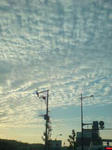 DSC01866.JPG