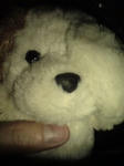 DSC01920.JPG