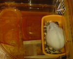 DSC01921.JPG