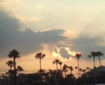 DSC01961.JPG