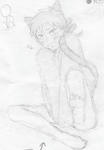 hironeko.jpg