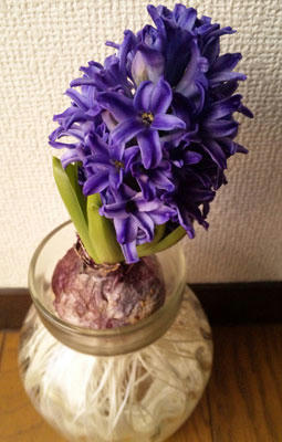 fd0047cf.jpg