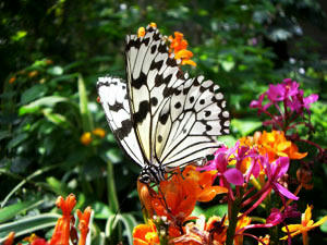 2100662e.jpg