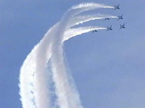 b11.jpg