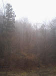 CA370241.jpg
