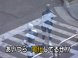 75310a7e.jpg