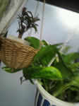 2011050118510000.jpg