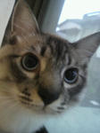 2011052318270000.jpg